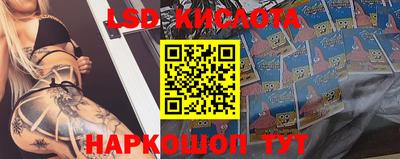 индика Краснознаменск