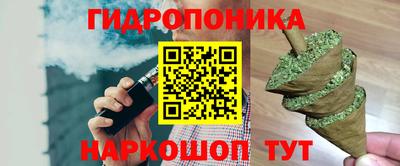 индика Краснознаменск
